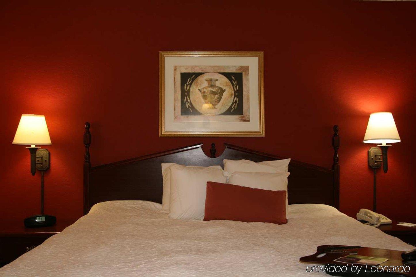Hampton Inn Карбондейл Номер фото